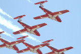 Canadian Snowbirds