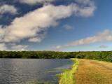 Walking close to water / Caminando cerca del agua