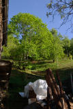 CRW_9863.jpg