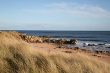 Dornoch Beach November 2010