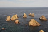 IMG_2522_displ_101008.jpg