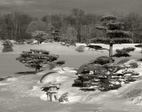 Winter Landscape Monochrome
