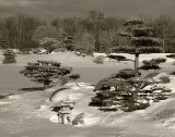 Chicago Botanic Garden - Winter_6