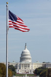 Capitol and Flag.jpg