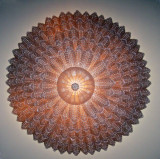Rosette.jpg