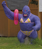 Purple Gorilla.jpg