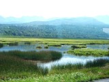 Marshland Outside Anchorage