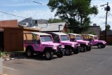 Waiting for Pink Jeep Tour