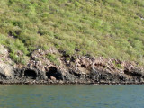 Shoreline on Bay of Topolobampo