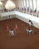 Training Lippizaner Horses in Vienna