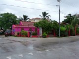 On the Island of Bonaire