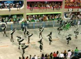 Grande Rio Theme = Gas of Brazil