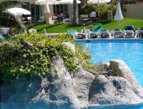 Iguanas on the Island in the Pool