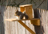 A peanut lunch at the Munch Box Cafe