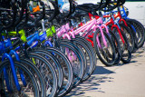 Colorful bikes for rent