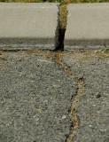 Crack thro concrete.jpg