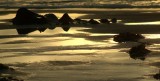 Morning Light Pano.jpg