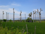 San Juan de la Maguana, RD