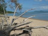 Dunk Island Beach