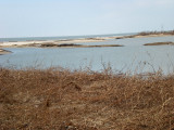 Dug out ponds on western edge of Little Florida.