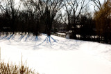 Pond, February 24