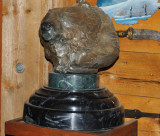 6805 Trophy Kodiak  Bear