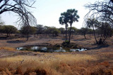 OUR WATERHOLE