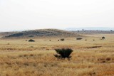 LANDSCAPE AT DAMARA