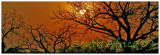 South Africa Banner