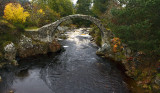 Autumnal Carrbridge