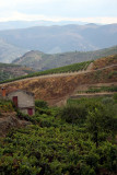 The Douro