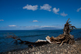 beaches _west Maui