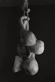 Gourds, Bent's Fort, Colorado,1998