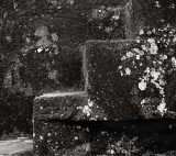Temple Steps, Tikal, Guatemala, 2001