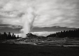 Castle Geyser, Yellowstone, 2001