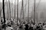 Jewish Ghetto Cemetery, Prague, 1974