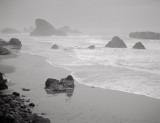 Pacific Coast, 1990