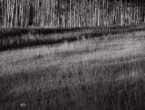 Dawn, Snowmass, Colorado, 1998