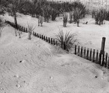 Drifted Fence Ocean City 1997.jpg