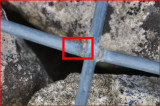 Cage_test_50.JPG