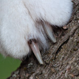 PAD2010_07_02_DSC_25212.jpg