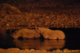 Night at Okaukuejo: black rhinoceros
