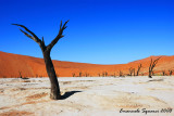 Sossusvlei and Dead Vlei