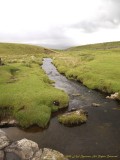 Babbling Brook, Yorkshire Dales