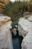 L4006734.jpg