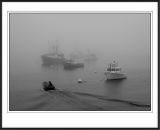 Fog at Port Clyde