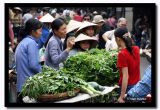 Vegetable Sales, Hanoi, Vietnam.jpg