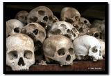 Victims Skulls, Choeung Ek Killing Fields, Cambodia.jpg