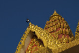 <B>Flight</B> <BR><FONT SIZE=2>Phnom Penh, Cambodia, January 2008</FONT>