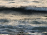 <B>Sea in Motion</B> <BR><FONT SIZE=2>Monterey, California, March 2008</FONT>